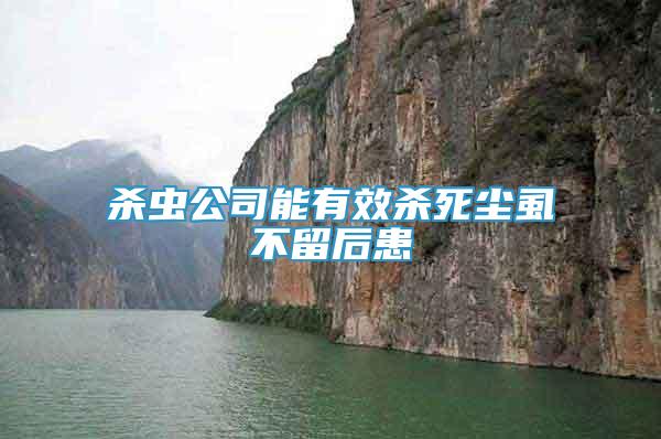 殺蟲公司能有效殺死塵虱不留后患