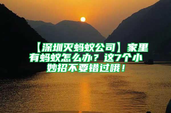 【深圳滅螞蟻公司】家里有螞蟻怎么辦？這7個小妙招不要錯過哦！