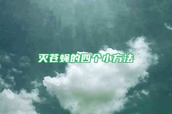 滅蒼蠅的四個小方法
