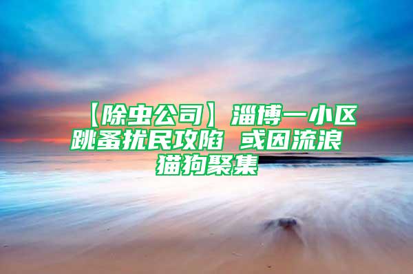 【除蟲公司】淄博一小區(qū)跳蚤擾民攻陷 或因流浪貓狗聚集
