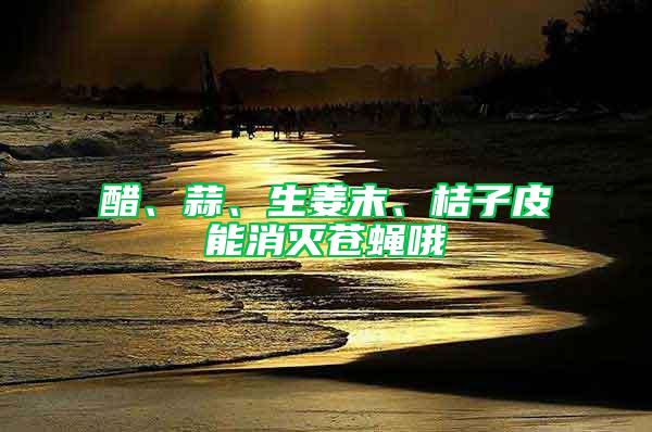 醋、蒜、生姜末、桔子皮能消滅蒼蠅哦