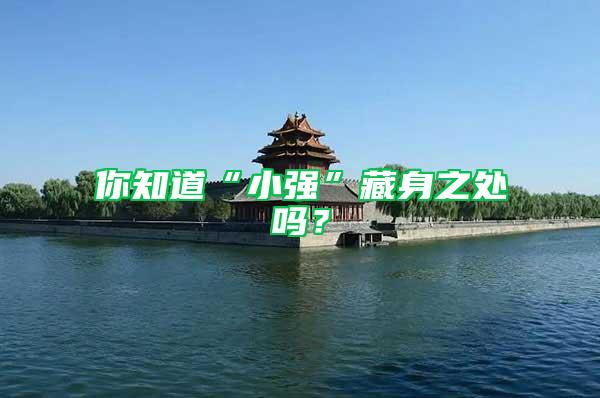 你知道“小強(qiáng)”藏身之處嗎？