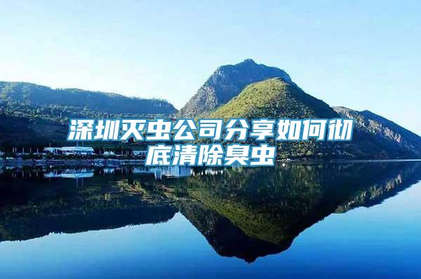 深圳滅蟲公司分享如何徹底清除臭蟲