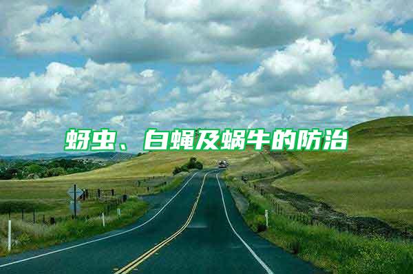 蚜蟲、白蠅及蝸牛的防治