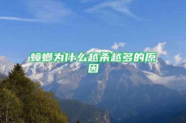 蟑螂為什么越殺越多的原因