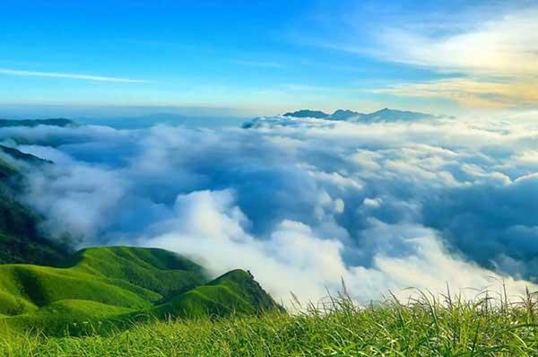 滅白蟻公司介紹：白蟻防治的四大常用方法