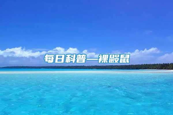 每日科普—裸鼴鼠