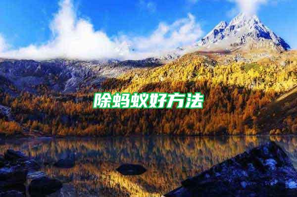 除螞蟻好方法