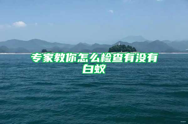 專家教你怎么檢查有沒有白蟻