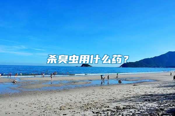 殺臭蟲用什么藥？