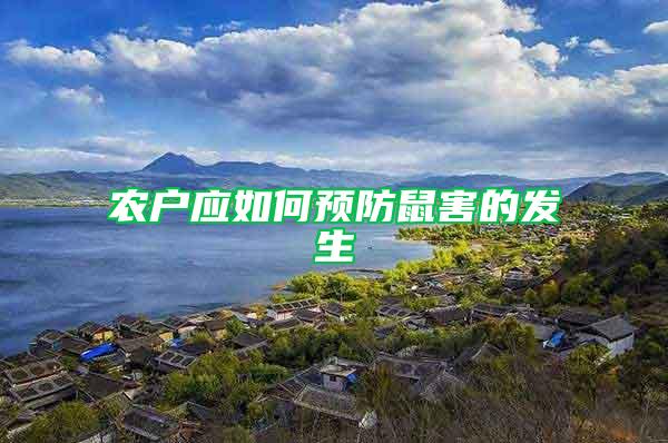 農(nóng)戶應(yīng)如何預(yù)防鼠害的發(fā)生