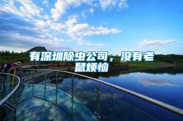 有深圳除蟲(chóng)公司，沒(méi)有老鼠煩惱