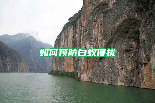 如何預(yù)防白蟻侵?jǐn)_