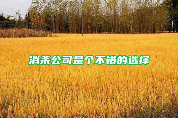 消殺公司是個不錯的選擇