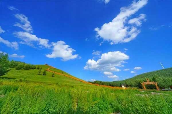 【跳蚤怎么消滅】家里發(fā)現(xiàn)跳蚤，教你徹底消滅它們