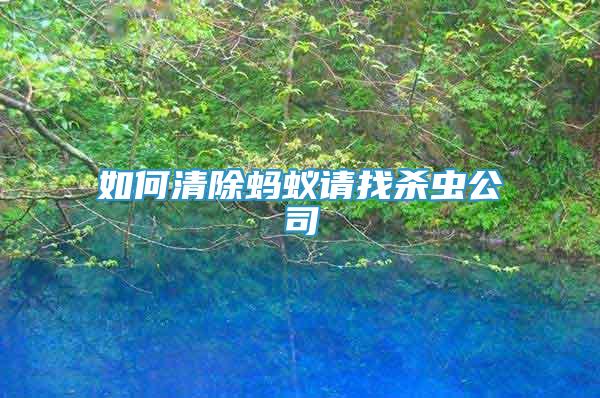如何清除螞蟻請找殺蟲公司