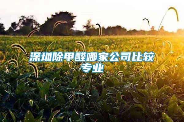 深圳除甲醛哪家公司比較專業(yè)