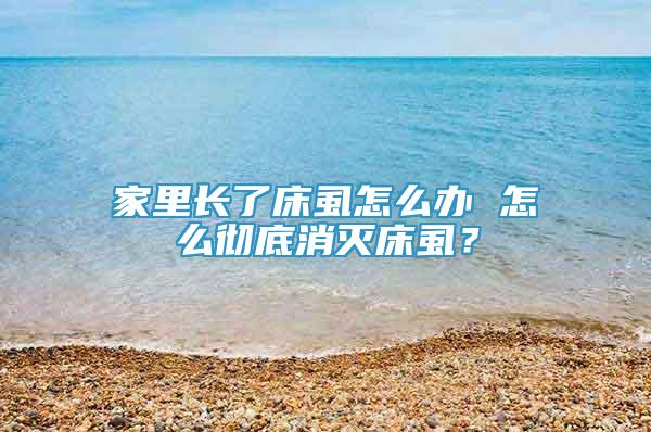 家里長了床虱怎么辦 怎么徹底消滅床虱？