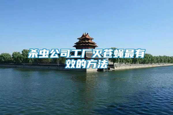 殺蟲公司工廠滅蒼蠅最有效的方法