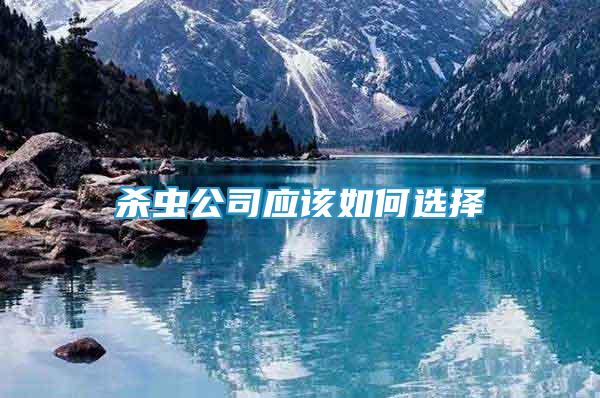 殺蟲公司應該如何選擇