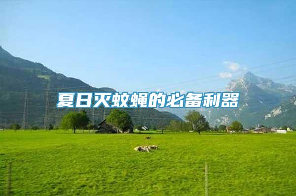 夏日滅蚊蠅的必備利器