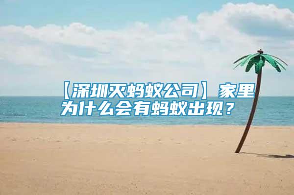 【深圳滅螞蟻公司】家里為什么會有螞蟻出現(xiàn)？