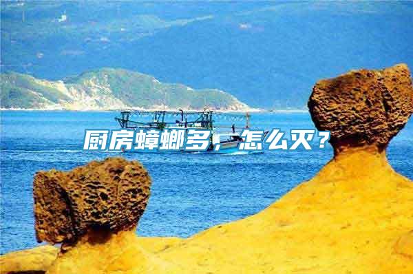 廚房蟑螂多，怎么滅？