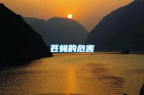 蒼蠅的危害