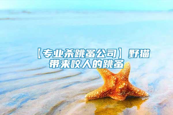 【專業(yè)殺跳蚤公司】野貓帶來咬人的跳蚤
