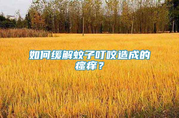 如何緩解蚊子叮咬造成的瘙癢？