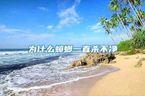 為什么蟑螂一直殺不凈
