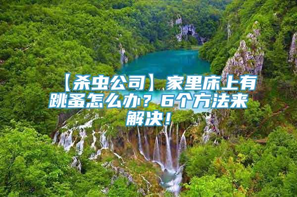【殺蟲公司】家里床上有跳蚤怎么辦？6個方法來解決！