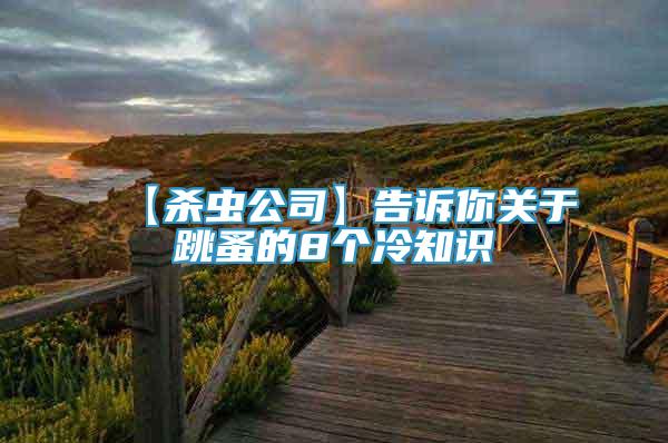 【殺蟲公司】告訴你關(guān)于跳蚤的8個(gè)冷知識(shí)