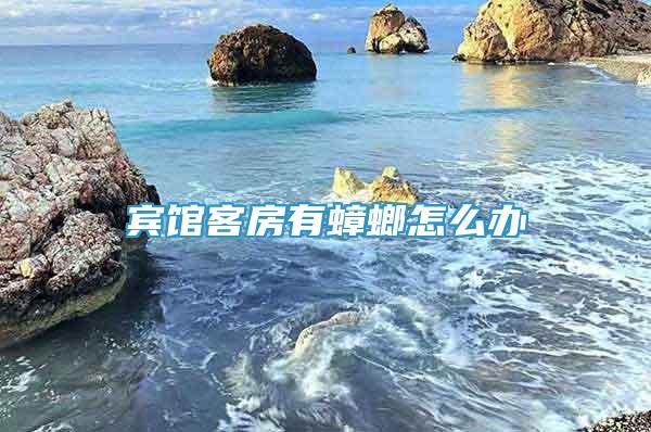 賓館客房有蟑螂怎么辦