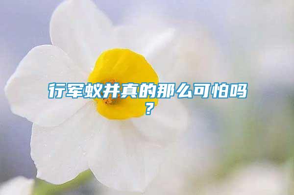 行軍蟻并真的那么可怕嗎？