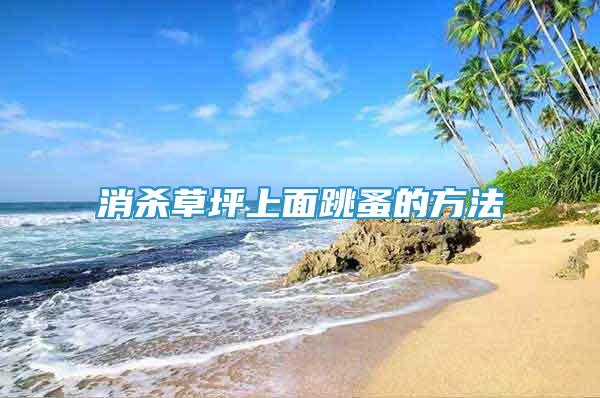 消殺草坪上面跳蚤的方法