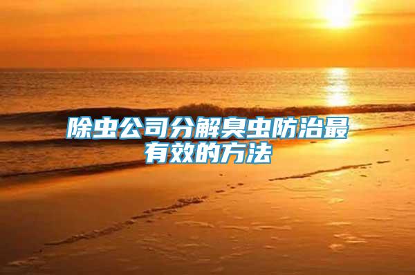 除蟲(chóng)公司分解臭蟲(chóng)防治最有效的方法