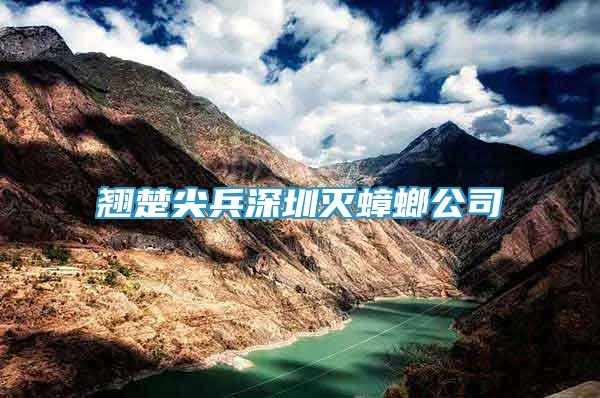 翹楚尖兵深圳滅蟑螂公司