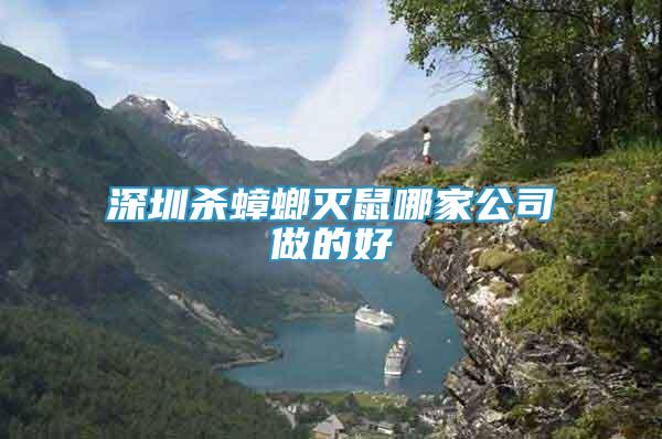 深圳殺蟑螂滅鼠哪家公司做的好