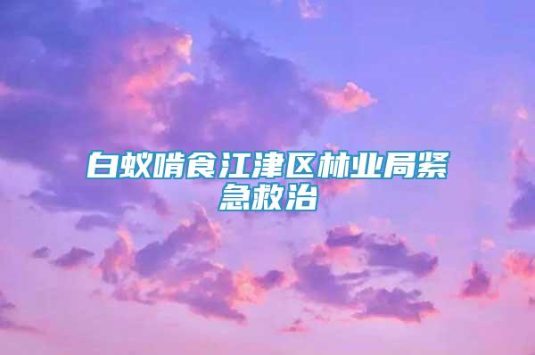 白蟻啃食江津區(qū)林業(yè)局緊急救治