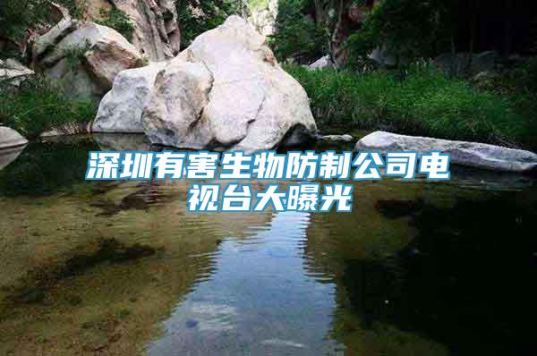 深圳有害生物防制公司電視臺大曝光