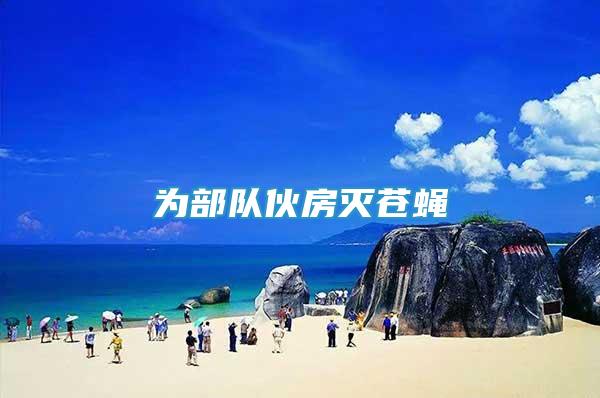 為部隊(duì)伙房滅蒼蠅