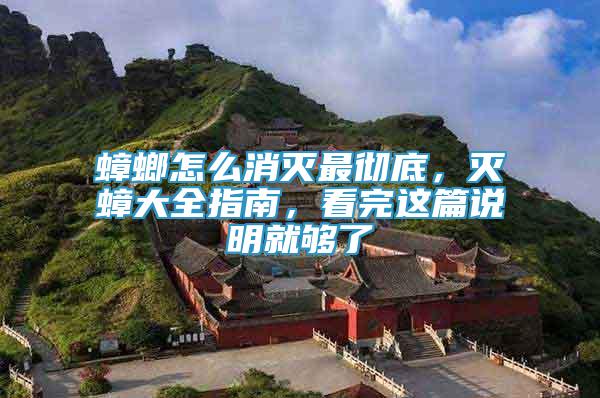 蟑螂怎么消滅最徹底，滅蟑大全指南，看完這篇說明就夠了