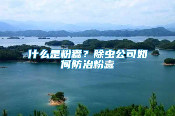 什么是粉蠹？除蟲公司如何防治粉蠹