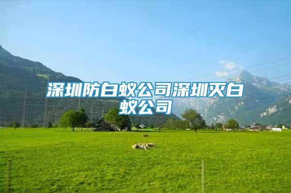 深圳防白蟻公司深圳滅白蟻公司
