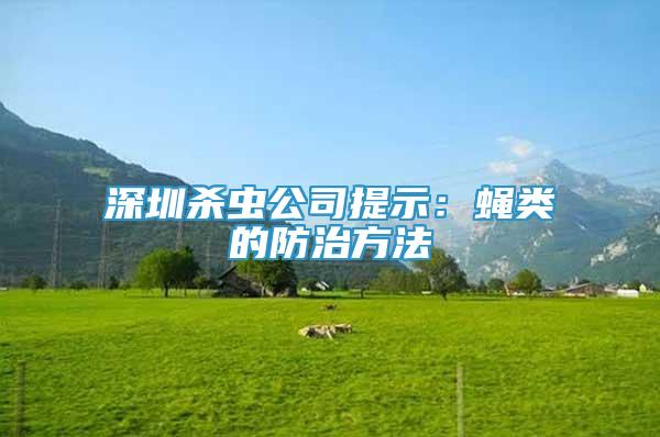 深圳殺蟲公司提示：蠅類的防治方法