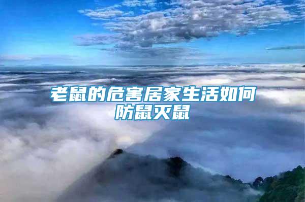 老鼠的危害居家生活如何防鼠滅鼠