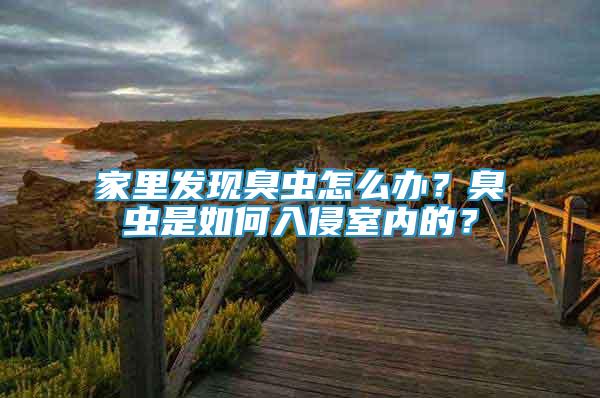家里發(fā)現(xiàn)臭蟲(chóng)怎么辦？臭蟲(chóng)是如何入侵室內(nèi)的？