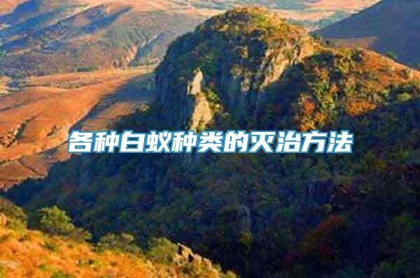 各種白蟻種類的滅治方法