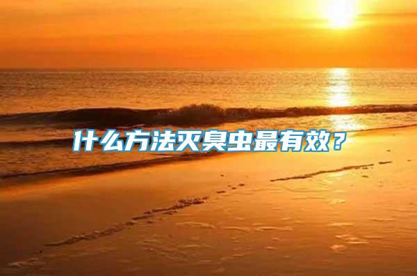 什么方法滅臭蟲最有效？